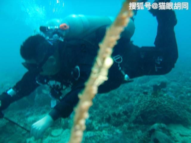 大豪宅逃脱10